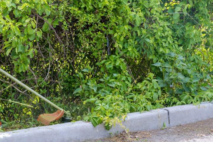 Entretien de jardin, Perros-Guirec